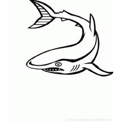 Disegno da colorare: animali marini (Animali) #22144 - Pagine da Colorare Stampabili Gratuite