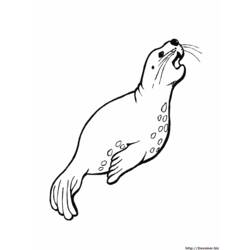 Disegno da colorare: animali marini (Animali) #22145 - Pagine da Colorare Stampabili Gratuite