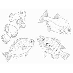 Disegno da colorare: animali marini (Animali) #22222 - Pagine da Colorare Stampabili Gratuite