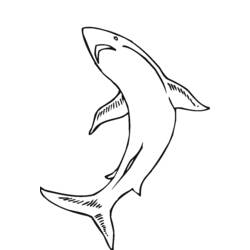 Disegno da colorare: animali marini (Animali) #22255 - Pagine da Colorare Stampabili Gratuite
