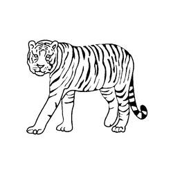 Disegno da colorare: Animali selvaggi/della giungla (Animali) #21092 - Pagine da Colorare Stampabili Gratuite