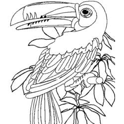 Disegno da colorare: Animali selvaggi/della giungla (Animali) #21094 - Pagine da Colorare Stampabili Gratuite