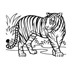 Disegne da colorare: Animali selvaggi/della giungla - Pagine da Colorare Stampabili Gratuite