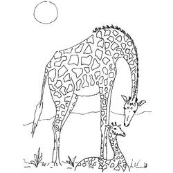 Disegno da colorare: Animali selvaggi/della giungla (Animali) #21138 - Pagine da Colorare Stampabili Gratuite