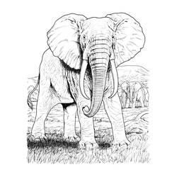Disegno da colorare: Animali selvaggi/della giungla (Animali) #21239 - Pagine da Colorare Stampabili Gratuite
