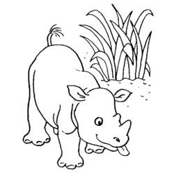 Disegno da colorare: Animali selvaggi/della giungla (Animali) #21270 - Pagine da Colorare Stampabili Gratuite