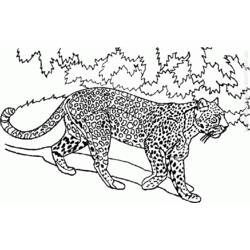 Disegno da colorare: Animali selvaggi/della giungla (Animali) #21277 - Pagine da Colorare Stampabili Gratuite