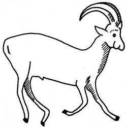 Disegno da colorare: Antilope (Animali) #22592 - Pagine da Colorare Stampabili Gratuite