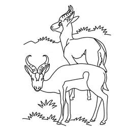 Disegno da colorare: Antilope (Animali) #22613 - Pagine da Colorare Stampabili Gratuite