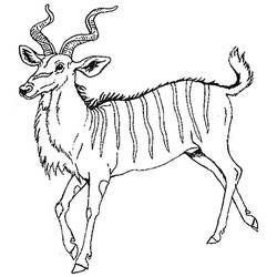 Disegno da colorare: Antilope (Animali) #22637 - Pagine da Colorare Stampabili Gratuite
