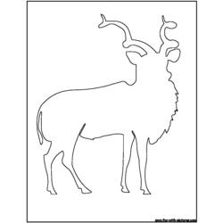 Disegno da colorare: Antilope (Animali) #22640 - Pagine da Colorare Stampabili Gratuite