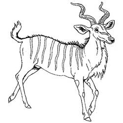 Disegno da colorare: Antilope (Animali) #22645 - Pagine da Colorare Stampabili Gratuite