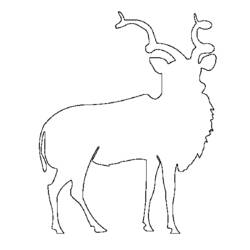 Disegno da colorare: Antilope (Animali) #22658 - Pagine da Colorare Stampabili Gratuite