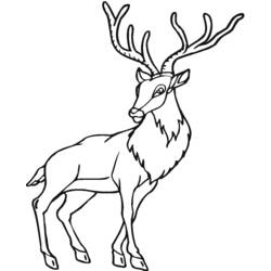 Disegno da colorare: Antilope (Animali) #22659 - Pagine da Colorare Stampabili Gratuite