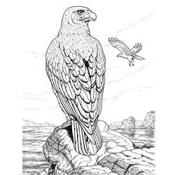 Disegno da colorare: Aquila (Animali) #277 - Pagine da Colorare Stampabili Gratuite