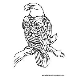 Disegno da colorare: Aquila (Animali) #279 - Pagine da Colorare Stampabili Gratuite