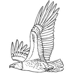 Disegno da colorare: Aquila (Animali) #280 - Pagine da Colorare Stampabili Gratuite