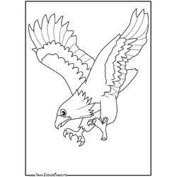 Disegno da colorare: Aquila (Animali) #290 - Pagine da Colorare Stampabili Gratuite