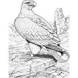 Disegno da colorare: Aquila (Animali) #291 - Pagine da Colorare Stampabili Gratuite