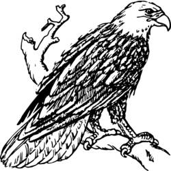 Disegno da colorare: Aquila (Animali) #292 - Pagine da Colorare Stampabili Gratuite