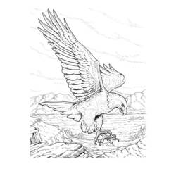 Disegno da colorare: Aquila (Animali) #296 - Pagine da Colorare Stampabili Gratuite