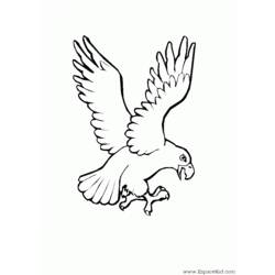 Disegno da colorare: Aquila (Animali) #303 - Pagine da Colorare Stampabili Gratuite
