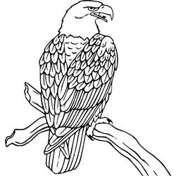 Disegno da colorare: Aquila (Animali) #308 - Pagine da Colorare Stampabili Gratuite