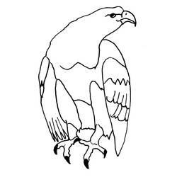 Disegno da colorare: Aquila (Animali) #316 - Pagine da Colorare Stampabili Gratuite