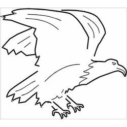 Disegno da colorare: Aquila (Animali) #317 - Pagine da Colorare Stampabili Gratuite