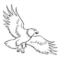 Disegno da colorare: Aquila (Animali) #318 - Pagine da Colorare Stampabili Gratuite