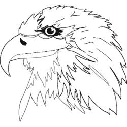 Disegno da colorare: Aquila (Animali) #341 - Pagine da Colorare Stampabili Gratuite