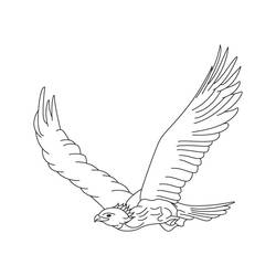 Disegno da colorare: Aquila (Animali) #353 - Pagine da Colorare Stampabili Gratuite