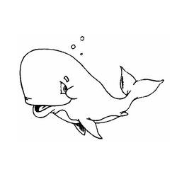 Disegno da colorare: Balena (Animali) #871 - Pagine da Colorare Stampabili Gratuite