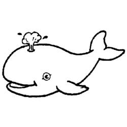Disegno da colorare: Balena (Animali) #875 - Pagine da Colorare Stampabili Gratuite