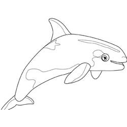 Disegno da colorare: Balena (Animali) #888 - Pagine da Colorare Stampabili Gratuite
