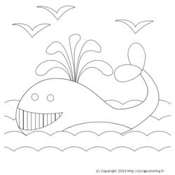 Disegno da colorare: Balena (Animali) #889 - Pagine da Colorare Stampabili Gratuite
