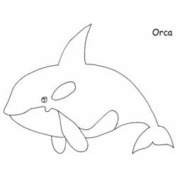 Disegno da colorare: Balena (Animali) #891 - Pagine da Colorare Stampabili Gratuite
