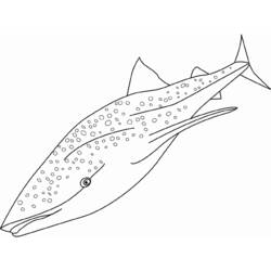 Disegno da colorare: Balena (Animali) #899 - Pagine da Colorare Stampabili Gratuite
