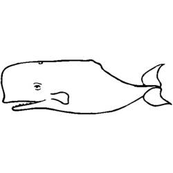 Disegno da colorare: Balena (Animali) #903 - Pagine da Colorare Stampabili Gratuite