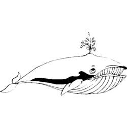 Disegno da colorare: Balena (Animali) #904 - Pagine da Colorare Stampabili Gratuite