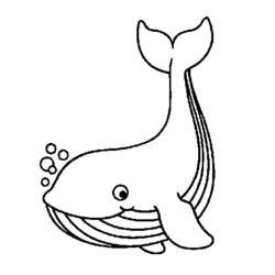 Disegno da colorare: Balena (Animali) #906 - Pagine da Colorare Stampabili Gratuite
