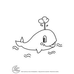 Disegno da colorare: Balena (Animali) #939 - Pagine da Colorare Stampabili Gratuite