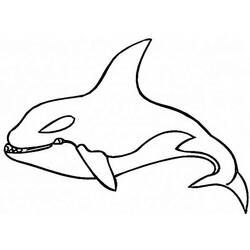Disegno da colorare: Balena (Animali) #941 - Pagine da Colorare Stampabili Gratuite
