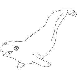 Disegno da colorare: Beluga (Animali) #1042 - Pagine da Colorare Stampabili Gratuite