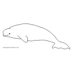 Disegno da colorare: Beluga (Animali) #1063 - Pagine da Colorare Stampabili Gratuite