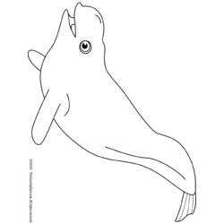 Disegno da colorare: Beluga (Animali) #1064 - Pagine da Colorare Stampabili Gratuite