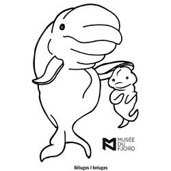 Disegno da colorare: Beluga (Animali) #1065 - Pagine da Colorare Stampabili Gratuite