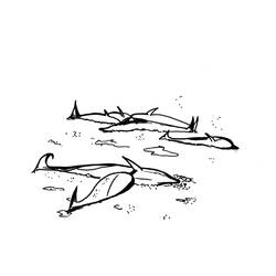 Disegno da colorare: Beluga (Animali) #1079 - Pagine da Colorare Stampabili Gratuite