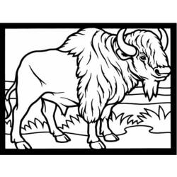 Disegno da colorare: Bisonte (Animali) #1191 - Pagine da Colorare Stampabili Gratuite