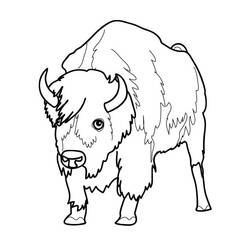 Disegno da colorare: Bisonte (Animali) #1192 - Pagine da Colorare Stampabili Gratuite